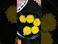 Happy Onam Kerala Onam Celebration Onam Whatsapp Status 2022