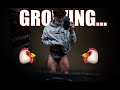 Growing My Chicken Legs...