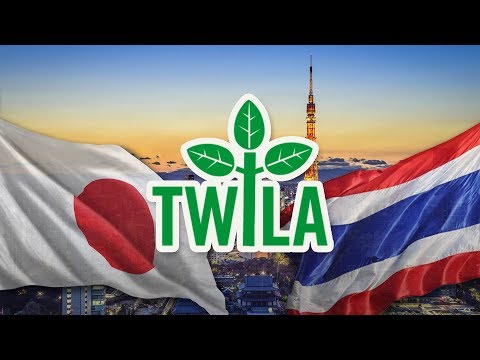 TWILA -- February 7, 2020