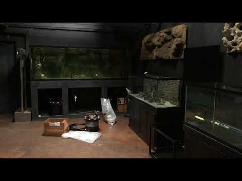 EPIC FISH ROOM