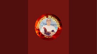 Domanok Wagoneer is live Dr Blues Easy Win. With my subscriber Heliberto Estrada from Valenzuela