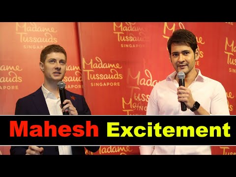 Mahesh Babu Q & A at Statue Launch