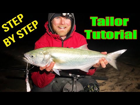 Tailor/Bluefish Tactics| How-to catch more fish!