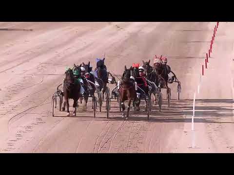 2023.02.04. 02. futam - GESZTUS HENDIKEP