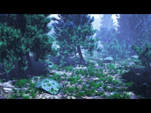 Rain Sounds in Woods for Sleeping or Studying | Rainstorm White Noise 10 Hours Video