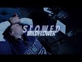 Billie Eilish WILDFLOWER Super Slowed