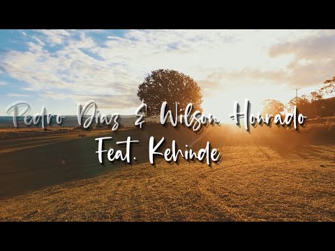 Pedro Diaz, Wilson Honrado Feat Kehinde -THE LOVE OF MY LIFE