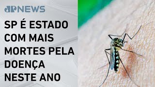 Casos de dengue caem no início de 2025 em comparação com mesmo período de 2024
