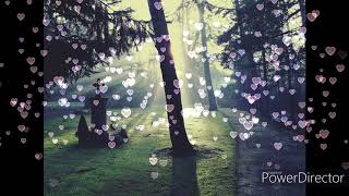 Wenn ich geh` von Wolfgang Petry