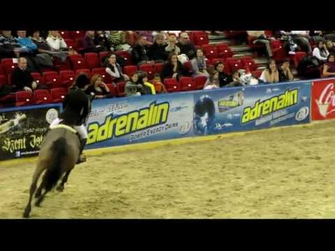 OTP Bank Lovas Világkupa 2011 #8