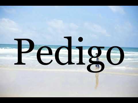How To Pronounce Pedigo🌈🌈🌈🌈🌈🌈Pronunciation Of Pedigo