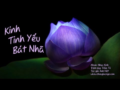 Kinh tinh yếu bát nhã