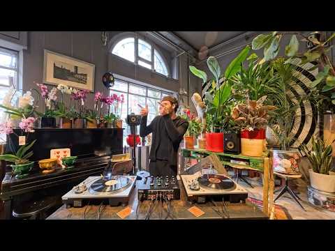 Latin, Zouk, Jazzdance Vinyl Set - LE JEU DE LOR (ALTA LENA) @ Zenzero Fiori&Co, IT