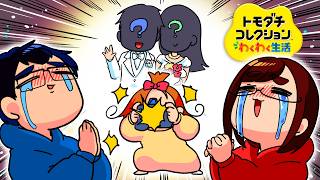 【速報】この島に"夫婦"が増えそうなので緊急でカメラを回してしまった「トモダチコレクション わくわく生活」