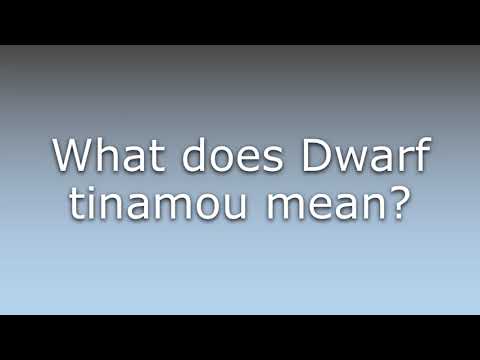 What does Dwarf tinamou mean?