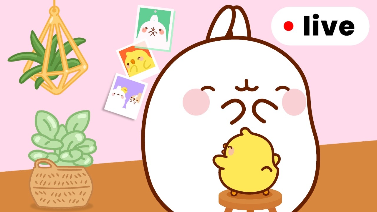 Molang Instant Mood Booster! 💛✨Mental Health Live for Kids 🔴