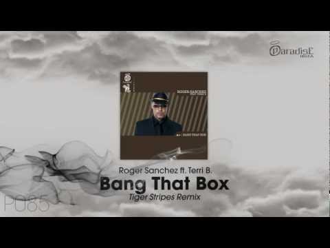 Roger Sanchez feat. Terri B - Bang That Box (Tiger Stripes Remix)