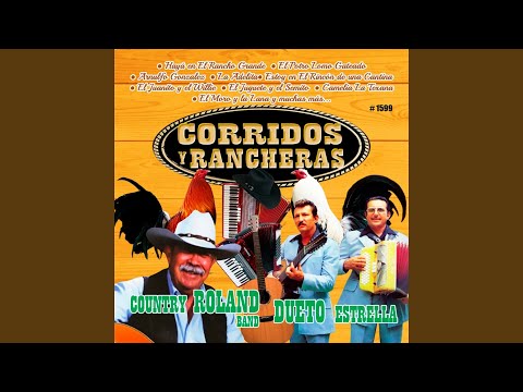 Estoy En El Rincon De Una Cantina