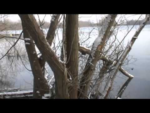 Karpfenangeln-29-Videotagebuch-MLotz