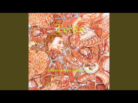 Eu Não Sei Fazer Música - Titãs