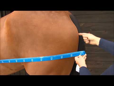 Mesurer son cheval Bucas