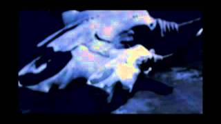 Balzac - In Those Days [PV]