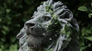 BagaIvy video thumbnail