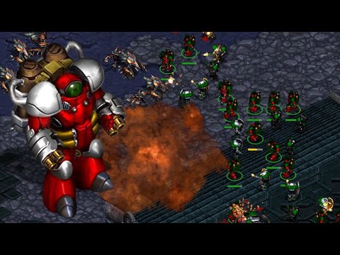 Welcome to the Firebat Meta.