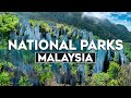 Top 10 Most Beautiful National Parks In Malaysia Travel Video 2024