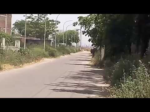 k&n air filter sporty sound in pulsar 220