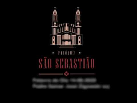 Palavra do Dia 14 06 2020 Padre Itamar José Zigowski scj