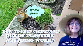 How To Keep Chipmunks Out of Planters - It Works!