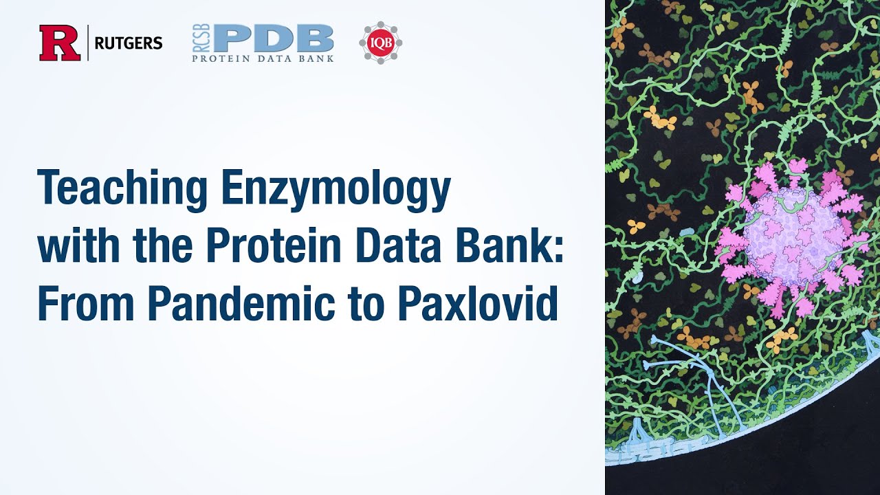 Teaching Enzymology with the Protein Data Bank: From Pandemic to Paxlovid (July30, 2024 Wbinar)