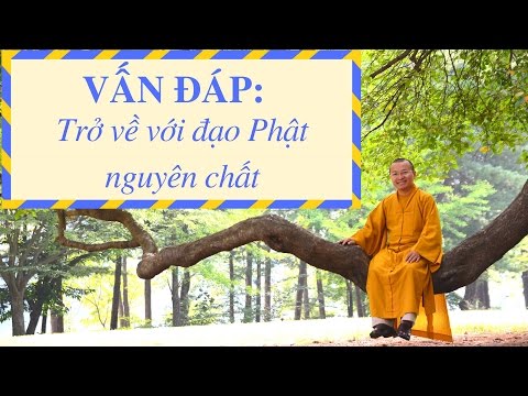 Vấn đáp: Đạo Phật nguyên chất với Tịnh độ Tông và Mật Tông  (30/05/2014) - Thích Nhật Từ