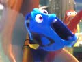 Finding Nemo P Sherman Wallaby Way Sydney In Japanese