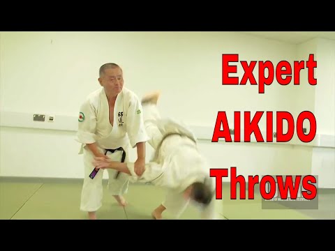 Expert AIKIDO Throws