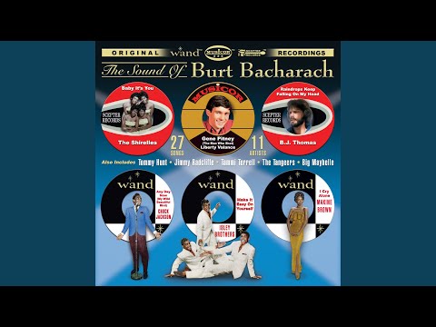 Long Day, Short Night - The Shirelles