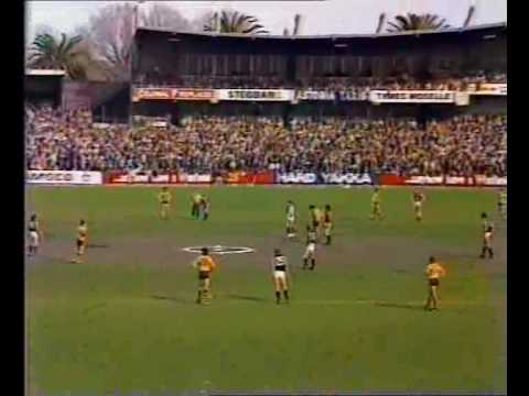 VFL R20 1983 Hawthorn v Carlton
