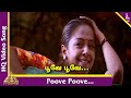 Poove Poove Video Song Poovellam Kettupar Tamil Movie Songs Suriya Jyothika Yuvan