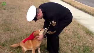 &quot;Feed Jake&quot;- Pirates of the Mississippi...Returning soldiers greeted by old friends