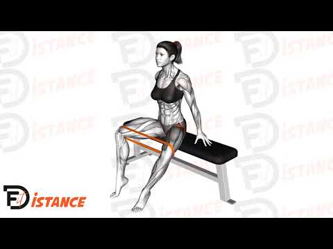 Abduction de hanche assis élastique - Exercice Abduction de hanche assis élastique en vidéo Abduction de hanche assis élastique - Exercice Abduction de hanche assis élastique en vidéo