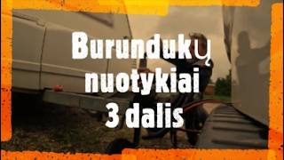 117. Burundukų nuotykiai. 3 dalis, Tikslas pasiektas.
