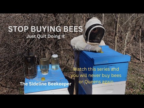 , title : 'Beekeeping: Stop Buying Bees | Series on Growing Apiary.'