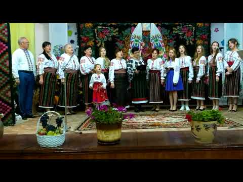 Cinntecul - Satul meu . Ansamblul ,,Cununita ,, Casa de Cultura Galaseni .