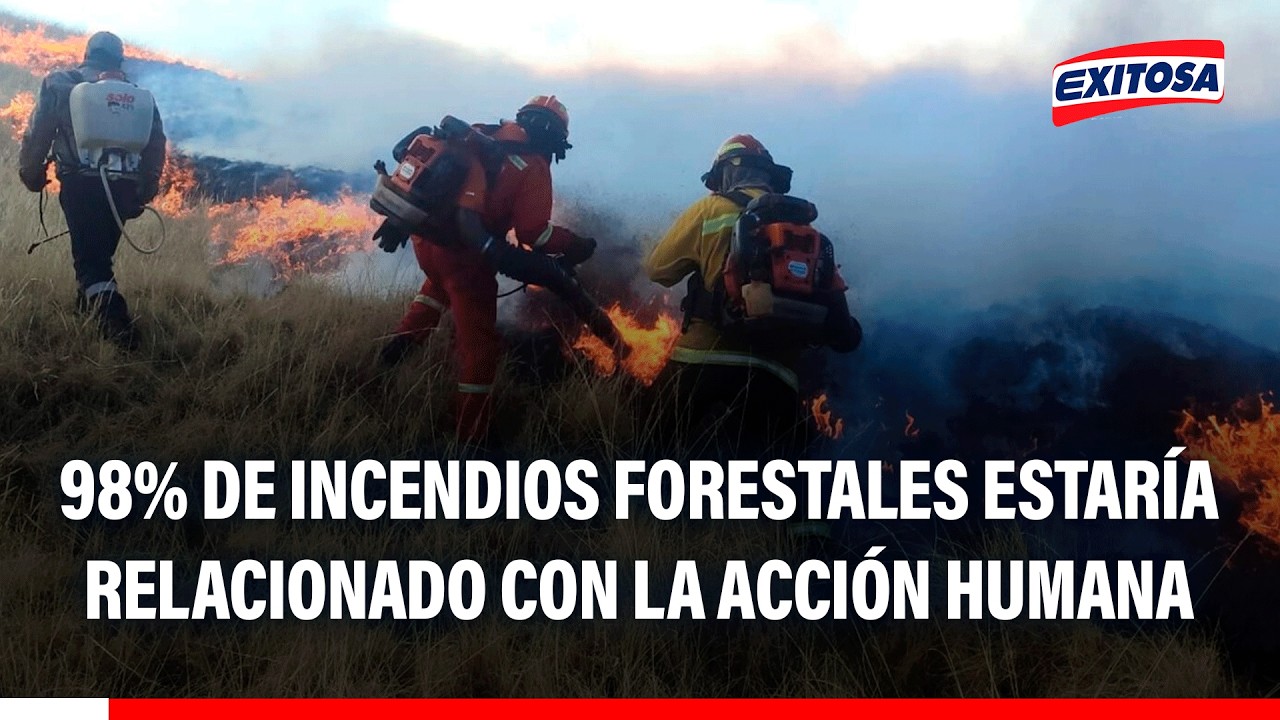 🔴🔵 Cenepred: Cerca del 98% de los incendios forestales estaría relacionado con la acción humana