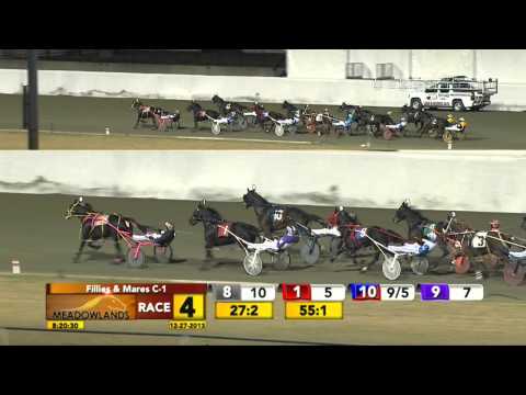 December 27, 2013 - Race 4 - Sarandon Blue Chip