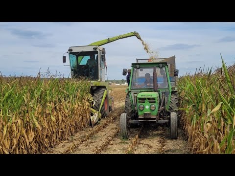 Ensilage à l'ancienne 2022 à Rimou