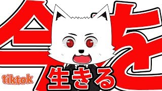 【Tik Tok】今を生きる 愛らしいで１位を目指す！ バーチャルYouTuber ティックトックって面白い !! 【バーチャルYouTuber】