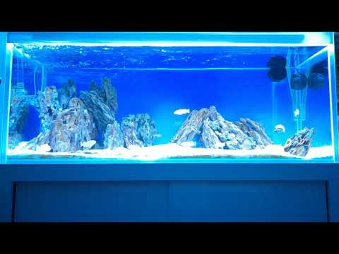 GHL Profilux 4 Illumination effects