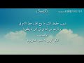 ؟؟Waste it on me هل شاهدتم فيديو كليب أغنية ؟؟Waste it on me هل شاهدتم فيديو كليب أغنية